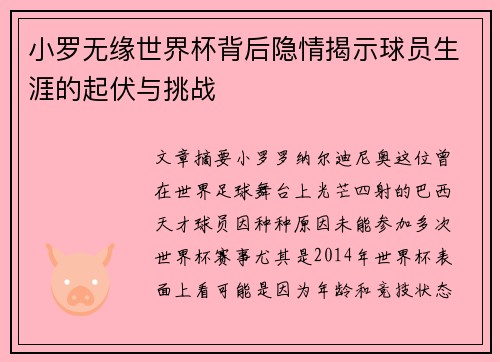 小罗无缘世界杯背后隐情揭示球员生涯的起伏与挑战
