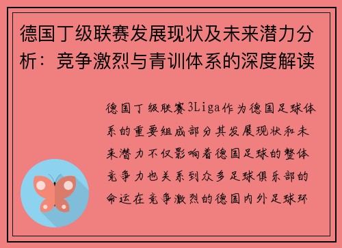 德国丁级联赛发展现状及未来潜力分析:竞争激烈与青训体系的深度解读 德国丁级联赛发展现状及未来潜力分析:竞争激烈与青训体系的深度解读